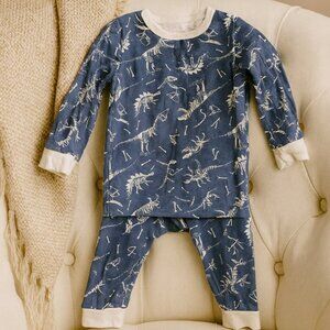 Dinosaur Fossil Baby Pajama Set – 2-Piece Cotton Sleepwear 18M